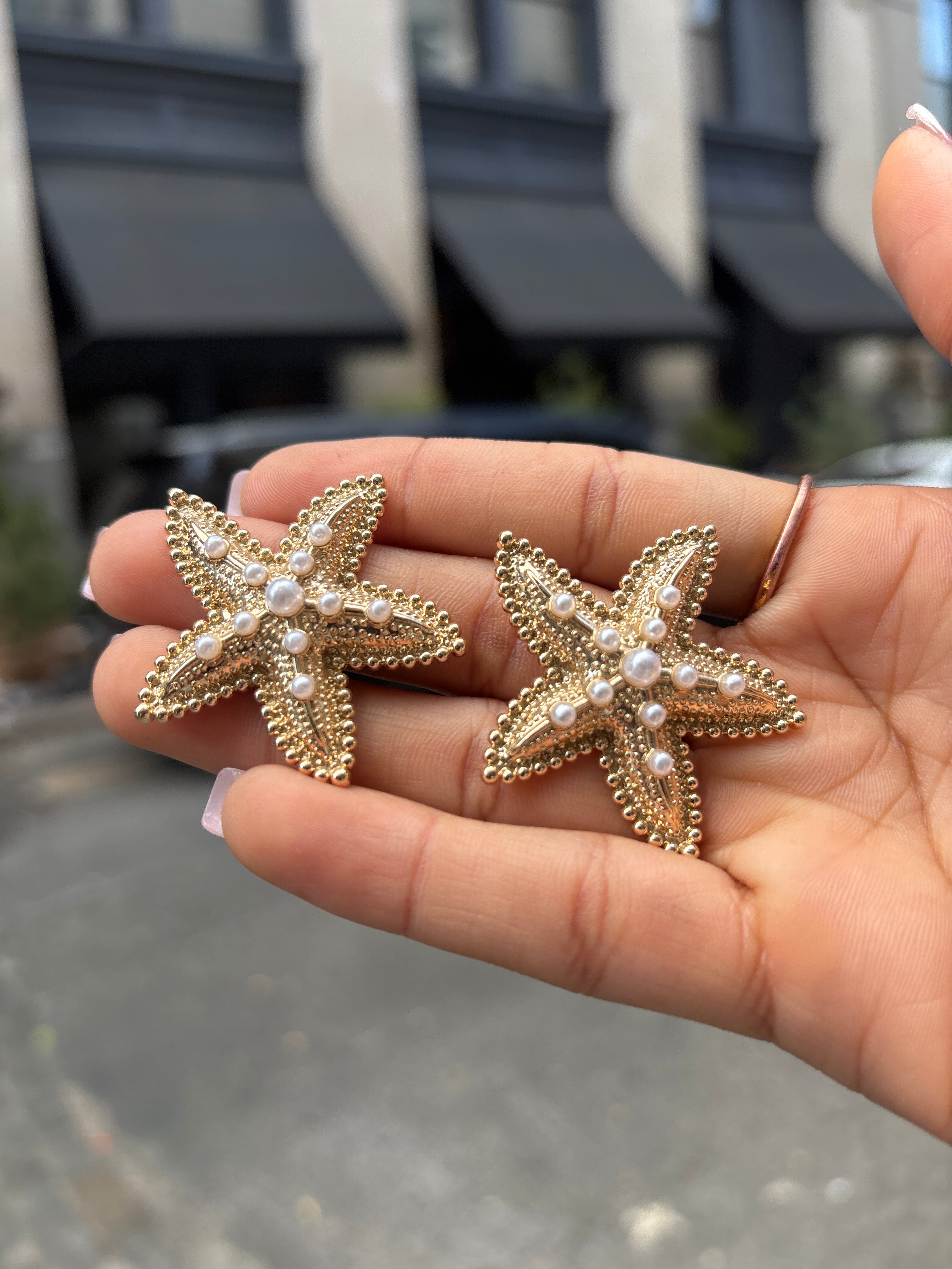 Estrellas de mar